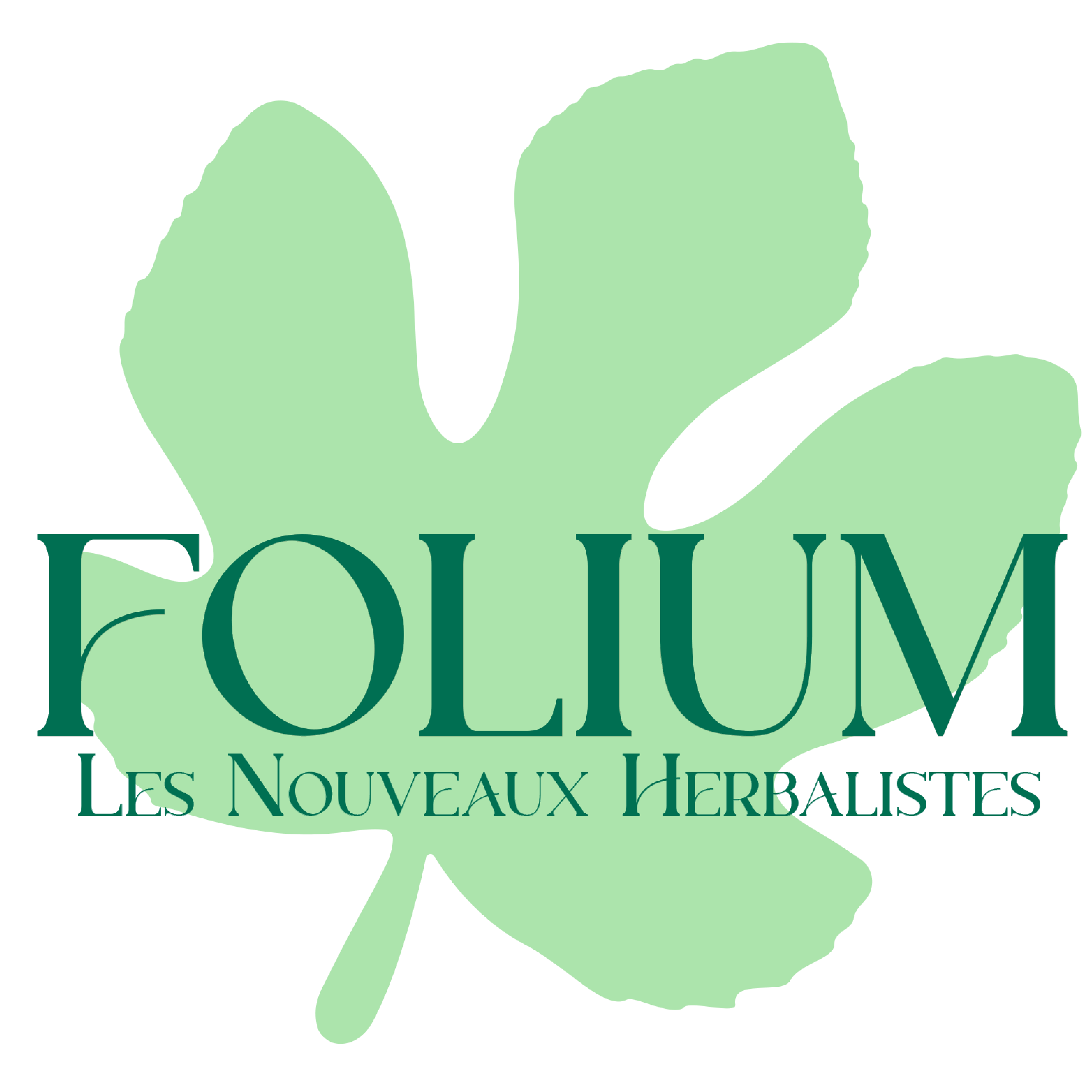 Boule à infuser de l'Herboristerie FOLIUM - Les Nouveaux Herbalistes